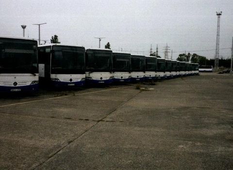 Mercedes Intouro